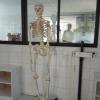 Krankenpflegeschule